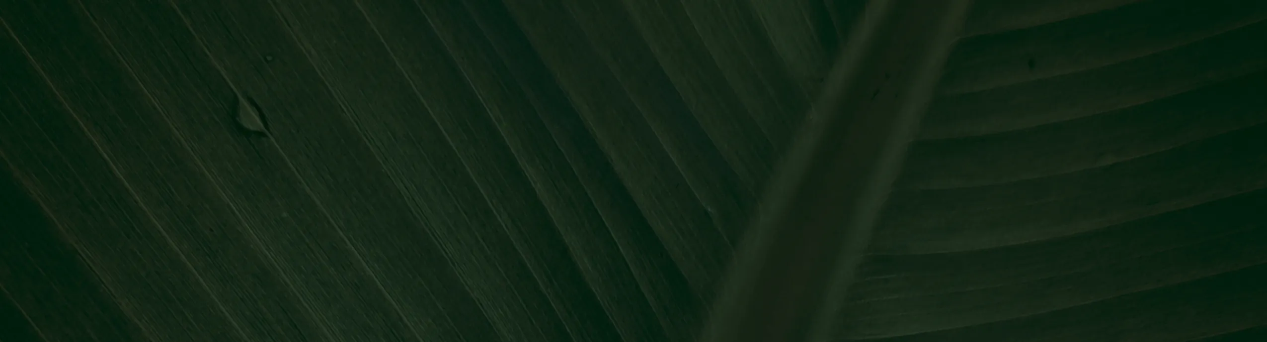 Love House Daily Barrier & Brightening Cream